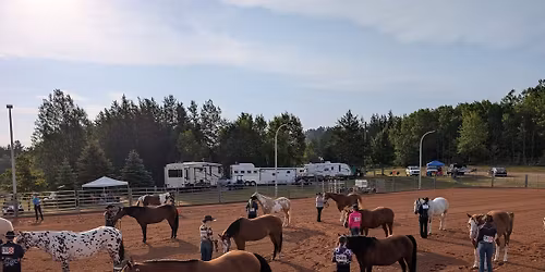NMEA Summer series UPHA Open Horse Show