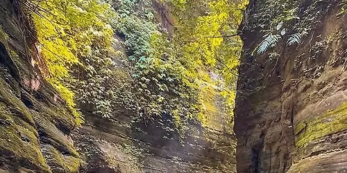 T-1040: \u0986\u0997\u09be\u09ae\u09c0 \u09e7\u09ec\u0987 \u098f\u09aa\u09cd\u09b0\u09bf\u09b2 \u09ac\u09c3\u09b9\u09b8\u09cd\u09aa\u09a4\u09bf\u09ac\u09be\u09b0 \u09ae\u09be\u09a4\u09cd\u09b0 \u09e8\u09e9\u09ef\u09ef\/-\u099f\u09be\u0995\u09be\u09df \u09ac\u09be\u09a8\u09cd\u09a6\u09b0\u09ac\u09be\u09a8 \u09a6\u09c7\u09ac\u09a4\u09be\u0996\u09c1\u09ae \u09a1\u09c7 \u099f\u09cd\u09af\u09c1\u09b0!