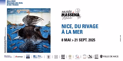 \ud83e\udebc NICE, DU RIVAGE \u00c0 LA MER