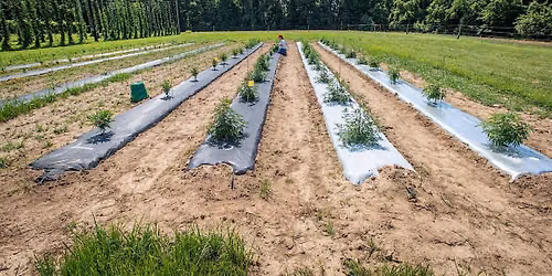 Plastic Mulch Demo and Troubleshooting Workshop
