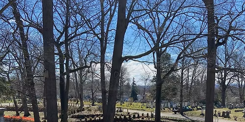 Planting and restoration at the Daffodil Project