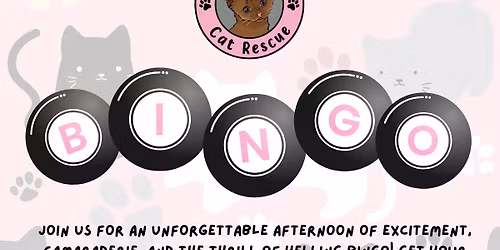 Cocoa Kitties Fall Bingo Fundraiser