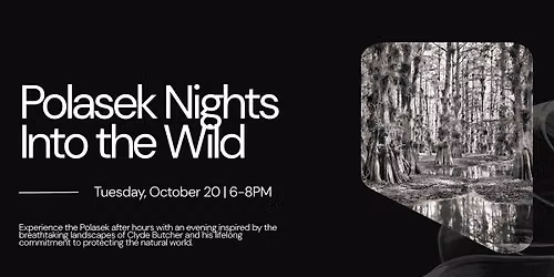 Polasek Nights: Into the Wild