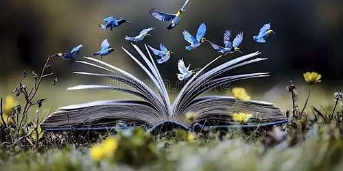 Wild Wednesday - Storytelling in Nature