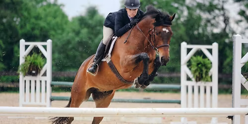 VHSA Hunter Show Series (TIP\/VHSA\/BHSA)  SERIES AWARDS!