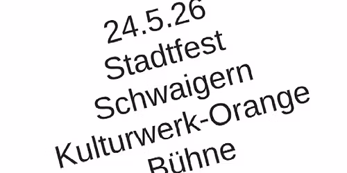 the Rockshow live am Stadtfest Schwaigern 
