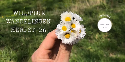 Wildplukwandeling met Sara
