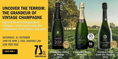 Uncover the Terroir The Grandeur of Vintage Champagne