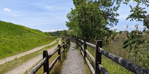 NJ Audubon Summer Stroll at Hawk Rise Sanctuary