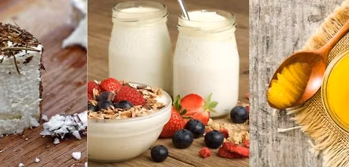 Workshop: Zuivel 2.0 - Van verse melk naar Ghee, yoghurt, smeerkaas en verse geitenkaas