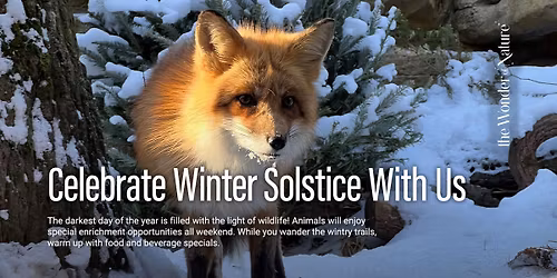 \u2744\ufe0f\ud83d\udd6f\ufe0fWinter Solstice at the MN Zoo\ud83d\udd6f\ufe0f\u2744\ufe0f