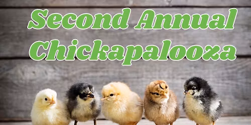 Second Annual Chickapalooza