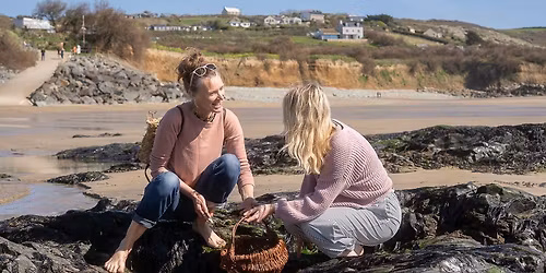 Wild Seaweed Foraging Day