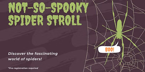 Not-So-Spooky Spider Stroll