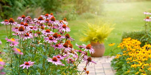 32nd Annual Garden City Garden Walk