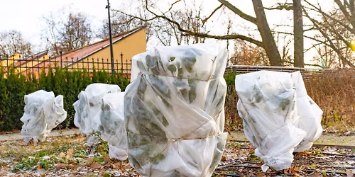 How to Winterize Your Garden For Spring Success
