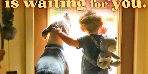 Pet Adoption @ Petco Sandy Springs