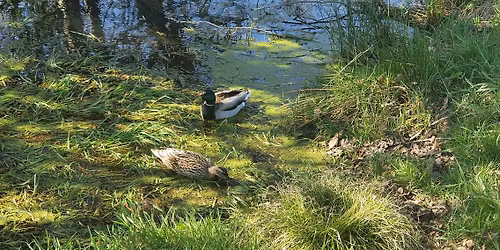 Sussex Wildlife Trust