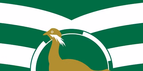 Swindon Balloon Festival