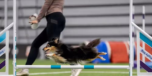 Februarstevne i Dr\u00f8bak