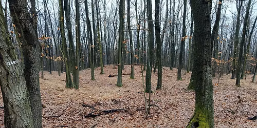 Hradiskami na Zobor s Petrom Michal\u00edkom