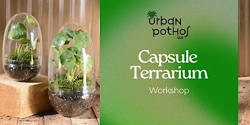 Glass Capsule Terrarium Workshop