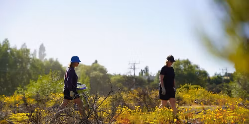 Beach Clean Up: Cardrona River