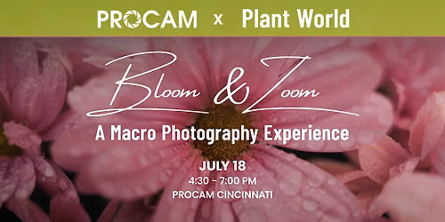Bloom & Zoom: A Macro Photography Experience