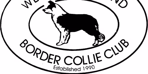 Live Hamper Raffle Draw