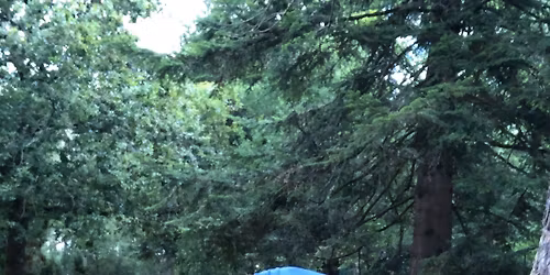 Unwinding the Spine & Shoulders