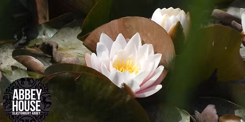 Mini Wellness Retreat