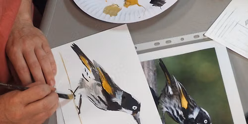 Wonderful Bayswater Wetlands \u2013 Nature Painting Workshop