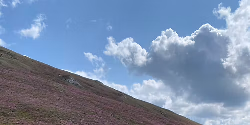 eBike & Rhododendron in Bucegi - Platoul Babele, Sfinxul, Costila, Piatra Arsa si Sinaia