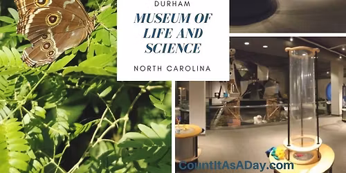 Field Trip: Museum of Life and Science