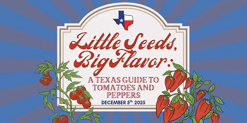 Little Seeds, Big Flavor: A Texas Guide to Tomatoes & Peppers
