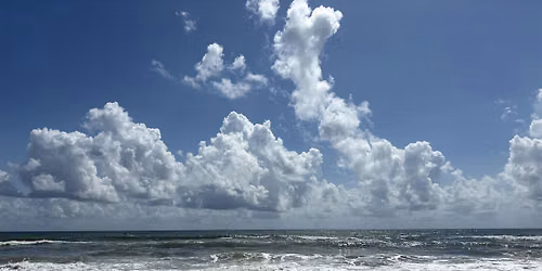 Burpee Museum BSA: Oceanography - In Person