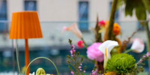 Bloom Social