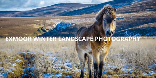 Photography Workshop : Exmoor Winter Landscape