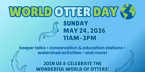 World Otter Day