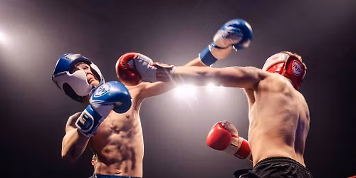 Fight Night Cardiff: Part XV