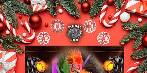 Christmas party with Matthew Rock as Almost Elton 