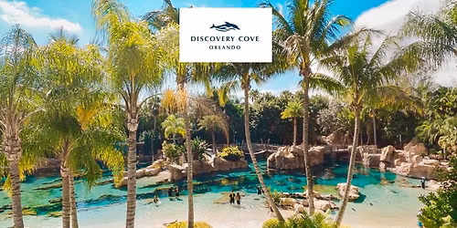 Discovery Cove Day: LLCF Paradise Escape