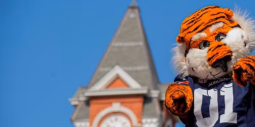Stillman Tigers at Samford Bulldogs Womens Basketball