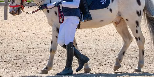 Coaching Training Module 