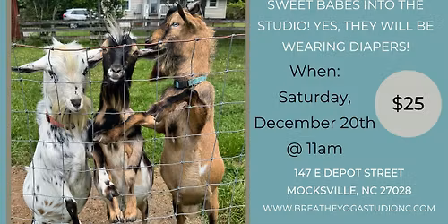 Goat Yoga at the Studio!