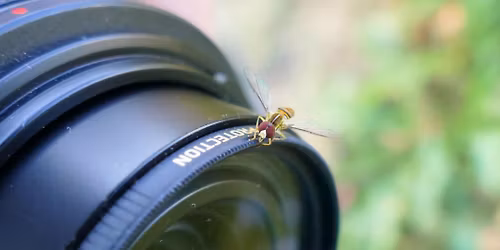 Lunch & Learn: Behind the Lens