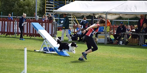 UKI Agility Trial - McKenzie Minto is judging!