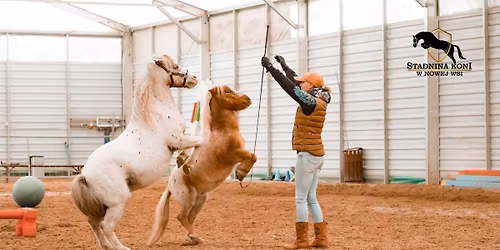 Szkolenie Horse Agility z KM Horsemanship - zabawa, która uczy komunikacji z koniem