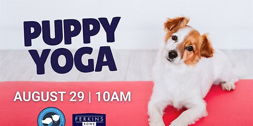 Puppy Yoga Benefitting Companion Animal Alliance