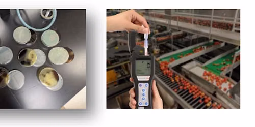 Environmental Monitoring for Food Processors: Hands-On Workshop